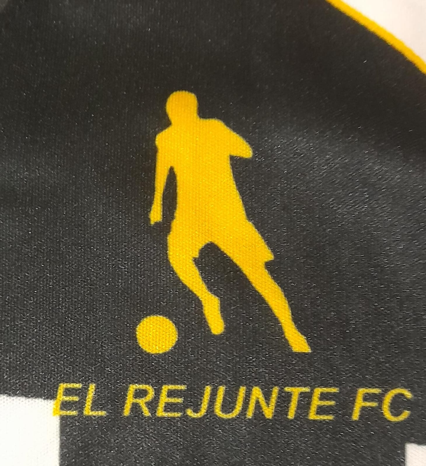 escudo